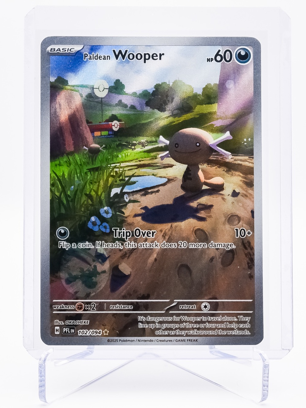 Pokemon Card Paldean Wooper 102/094 Illustration Rare Holo Phantasmal Flames NM